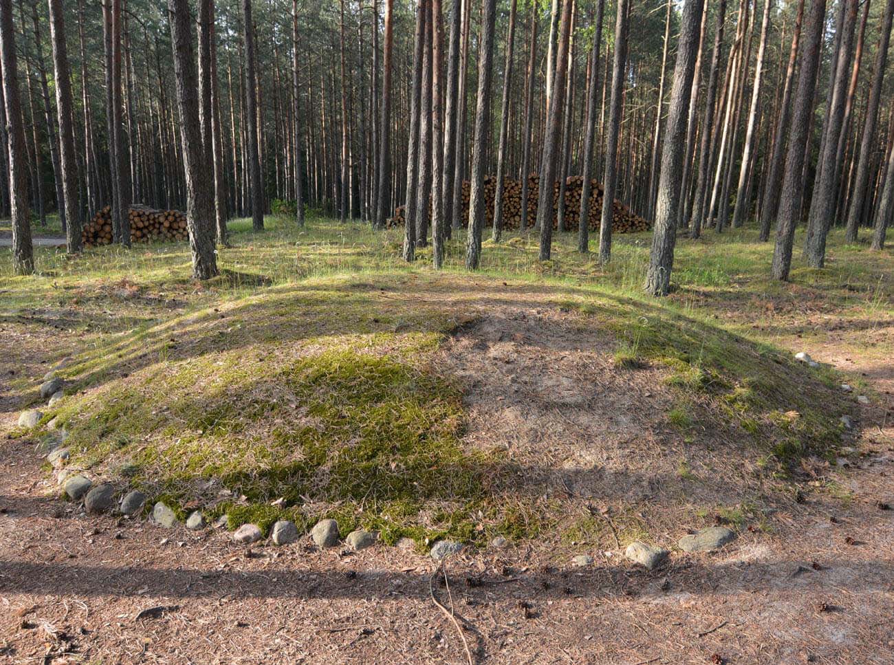 Widok z bliska na wygrawerowane znaki na powierzchni megalitycznego kamienia