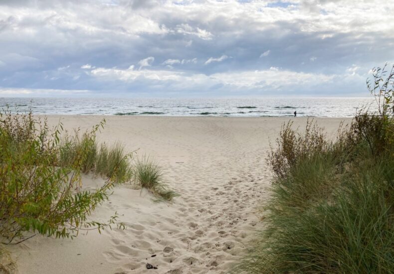 5439201b baltyk coast dunes 1770513174