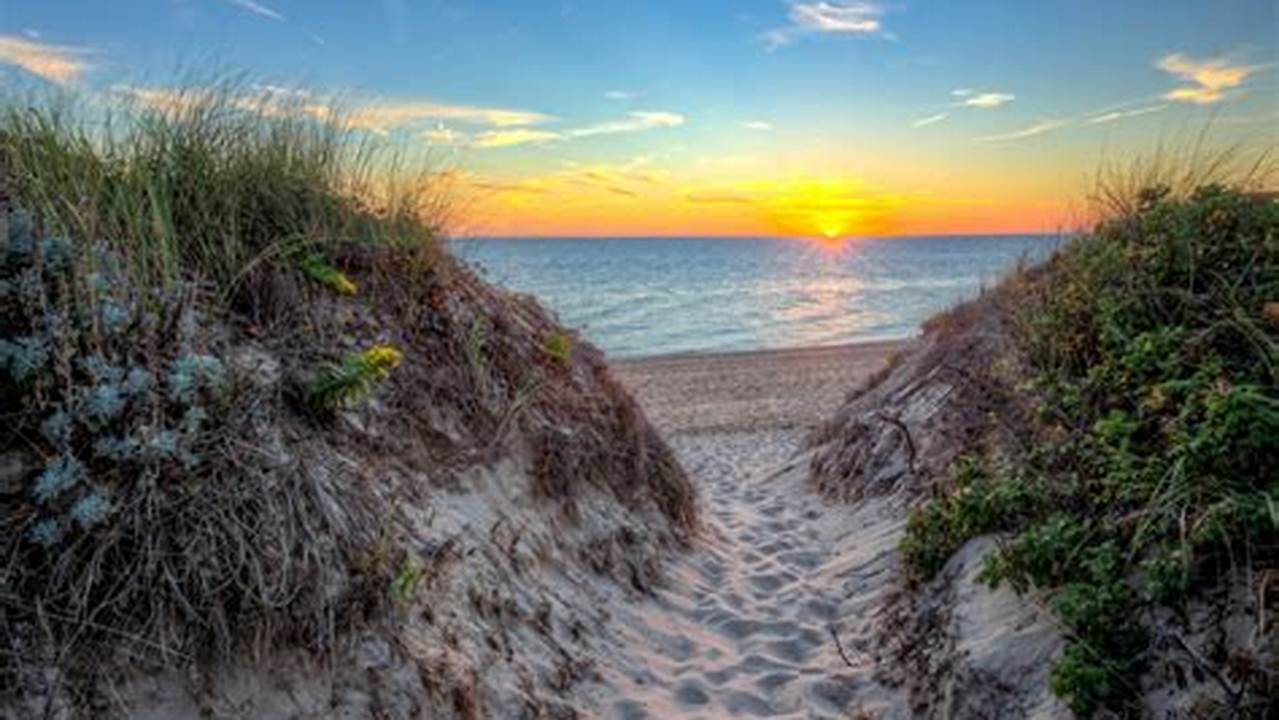 Muszle i wodorosty na plaży oświetlone słońcem z falami w tle