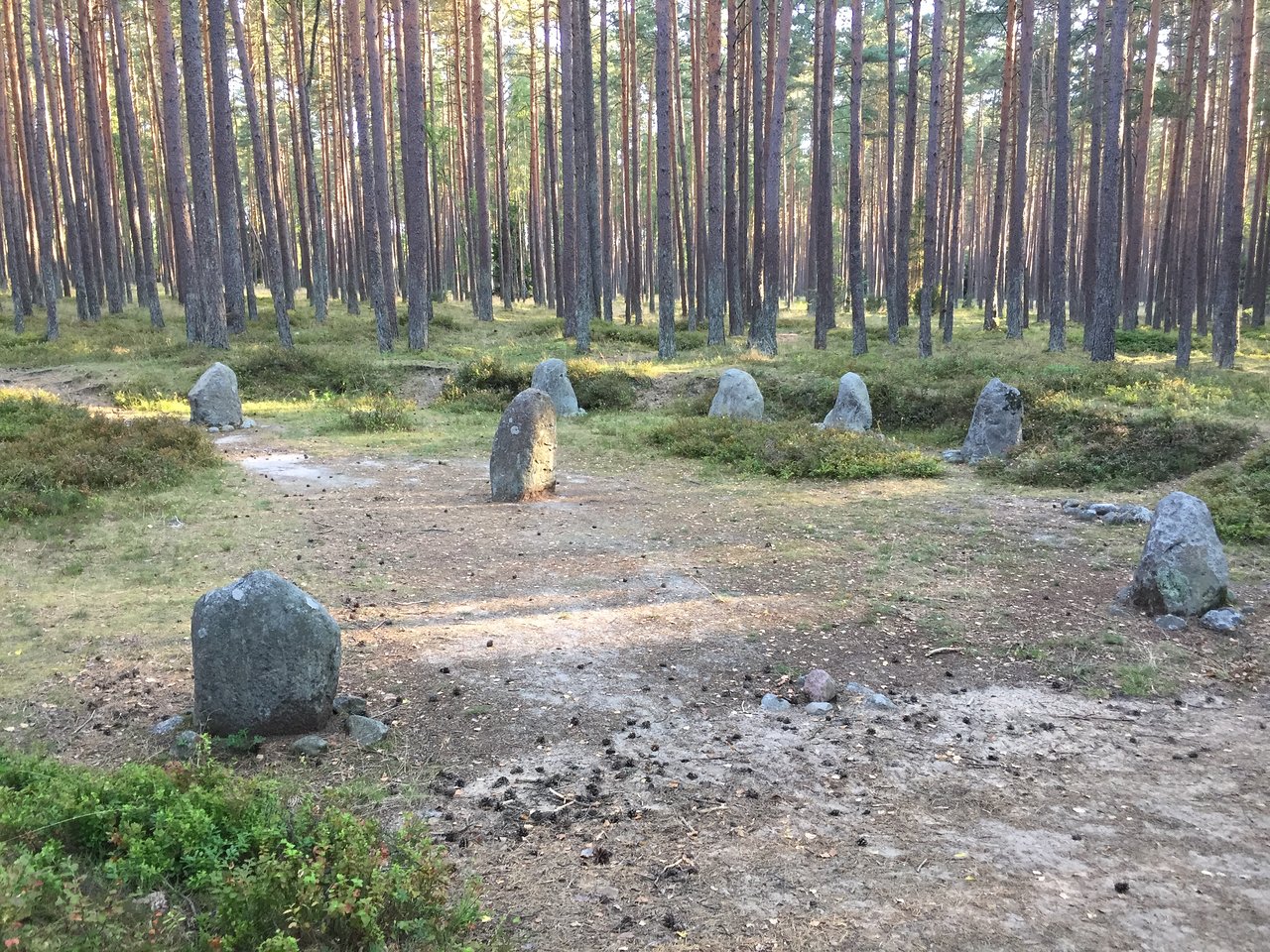 Pełny kompleks kręgów kamiennych na wzgórzu pod błękitnym niebem w Grzybnicy