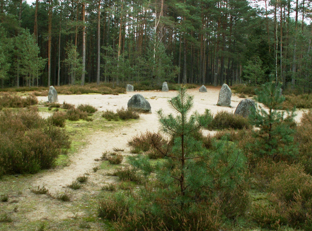 Bliski widok na centralny krąg z ustawionymi pionowo kamieniami w Grzybnicy