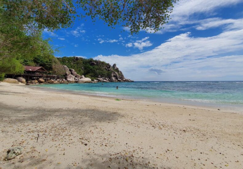 Szeroki widok plaży z falami morza i ludźmi wdychającymi morską bryzę