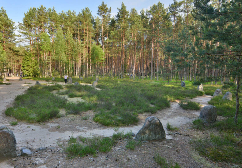 Panorama kamiennych kręgów megalitów na wzgórzu w Grzybnicy otoczonym zielonymi polami